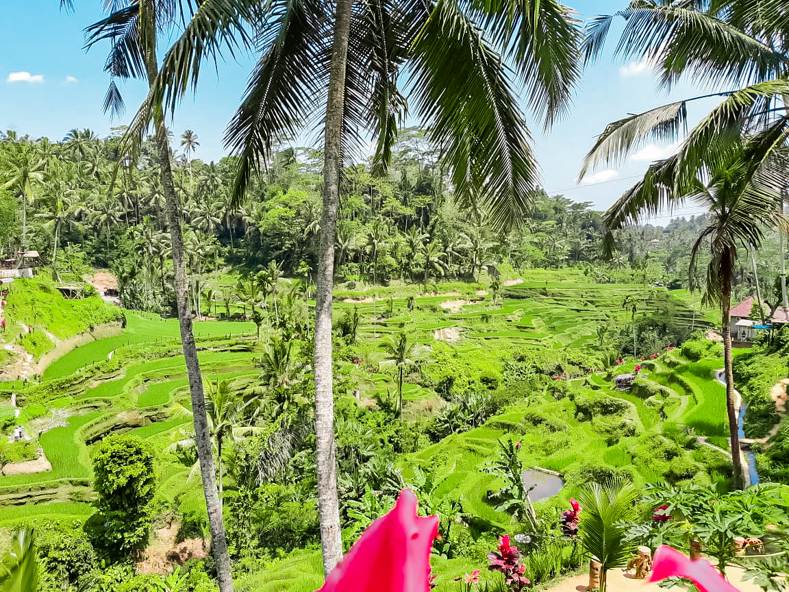 Central Bali Tour